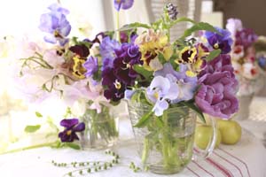 �t�����[�E�u���C�_���u�[�P�E�A�����W�����g���b�X���E�E�F�f�B���O�E��ꑕ�� �E�~���t���[���E�t�����[�f�U�C��